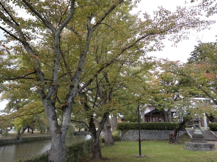 Park and Shrine 