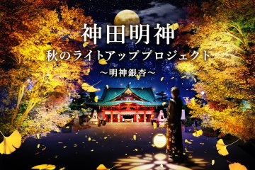Kanda Myojin Autumn Light-up Project 2022