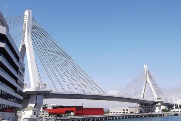 The harbor bridge