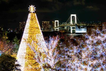 Illumination Island Odaiba 2024