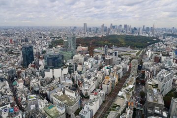 Spot Yoyogi Park!