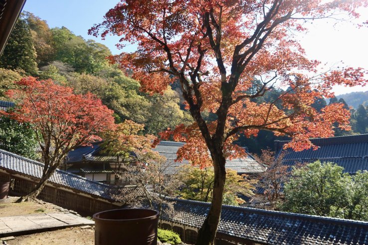 Autumn at Eiheiji Temple