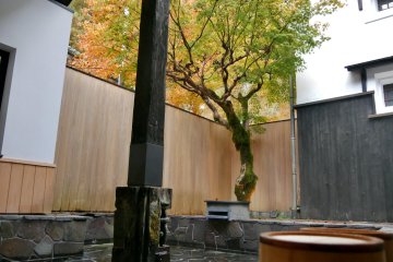 Outdoor bath with a beautiful Japanese maple tree