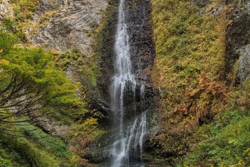 Another picture of Furutaki