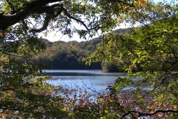 Lake view from the walk  