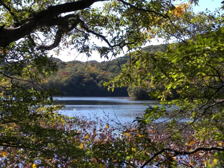 Lake view from the walk  