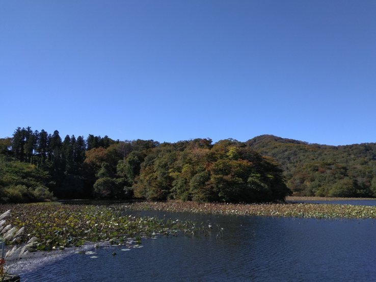Shimo-ike wetlands
