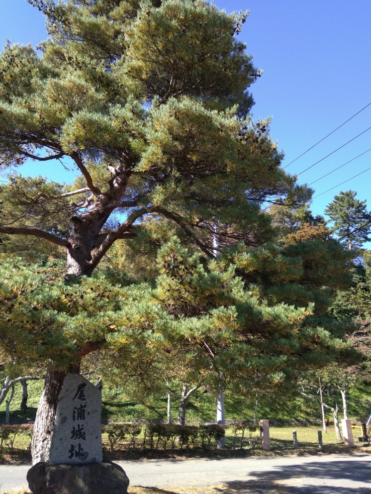 Cypress marker at entrance