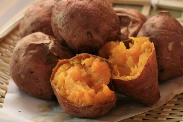 Sweet Potato Expo 2027