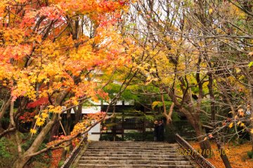 Ryoanji Temple  entrance to Kuri main building