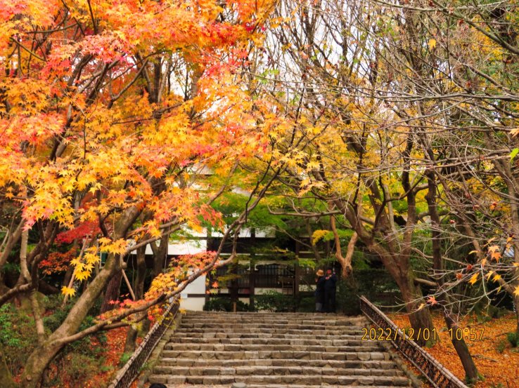 Ryoanji Temple  entrance to Kuri main building