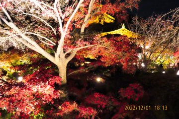 Toji Temple Pond