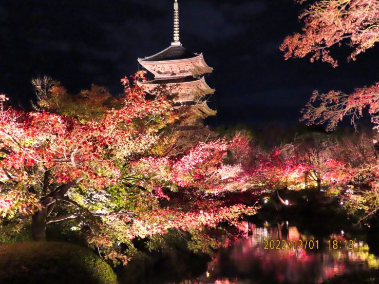 Toji Temple Pagoda