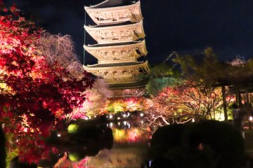 Toji Temple Pagoda Pond Reflection