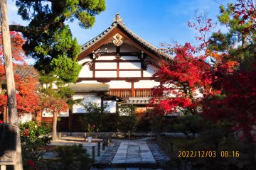 Kyoto Fall 2022 Day Three