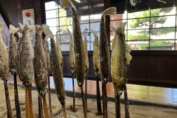 Sweetfish (Ayu, 鮎), Amago trout (Amago, あまご), and Char (Iwana, いわな) 