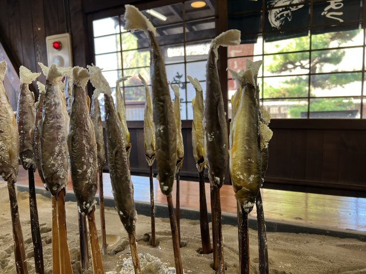 Sweetfish (Ayu, 鮎), Amago trout (Amago, あまご), and Char (Iwana, いわな) 