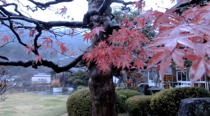 Bosenkan's Japanese garden