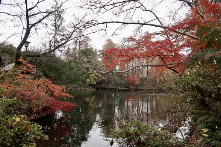 View of Inokashira Pond from Benzaiten Shrine