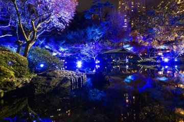 Tokyo Blue Garden Winter Festival 2024-2025