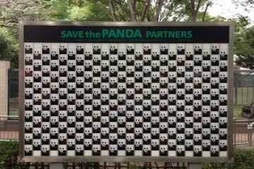Save the panda