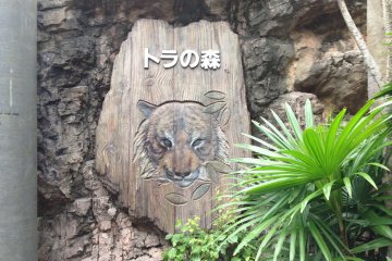Tiger's home
