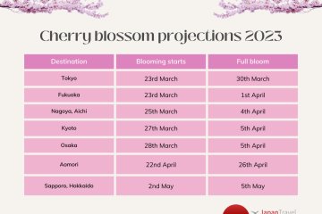 JMC / Jan 11th Forecast