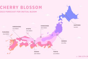 JMC / Jan 11th Forecast