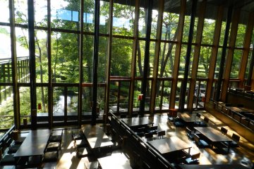 Looking down on Kasuke from the Library Lounge.