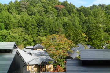The hotel sits on the edge of the forest.