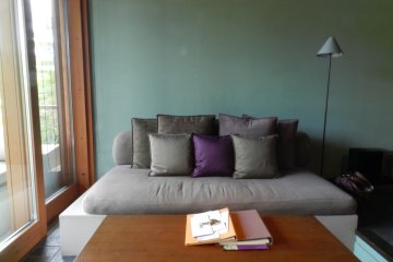 The big, comfortable couch in the room.