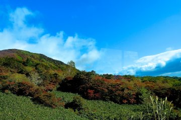 From the bus window