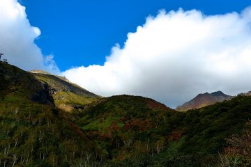 Red, green, white and blue…