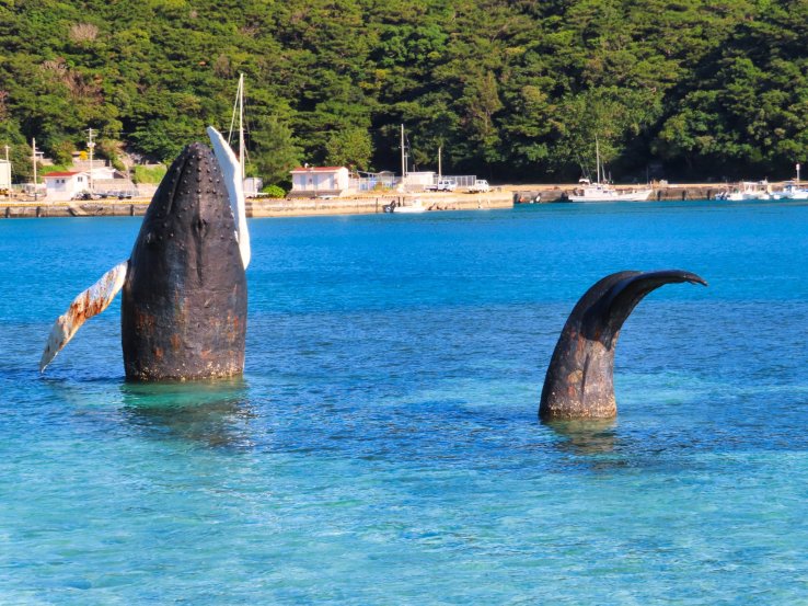 Concrete Whale
