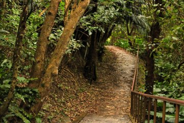 Kogane Forest Park