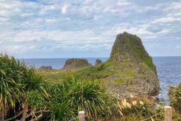 Coral Rock Cape Maeda