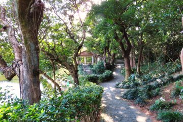 Walkwy Ryutan Pond