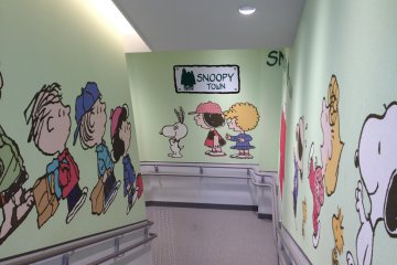 A town full of Snoopy and friends found at Kiddy Land