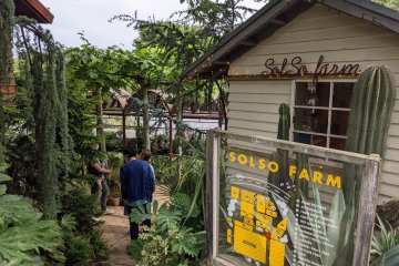 Solso Farm