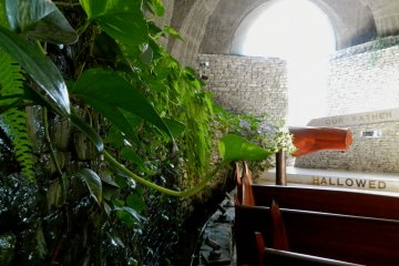 All the elements of the natural world co-exist in the beautiful stone church.