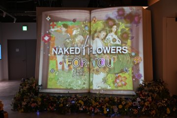 Naked Flowers For You