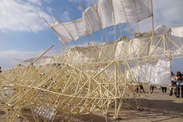 Theo Jansen Exhibition - Kochi 2023