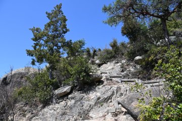 Path to the top