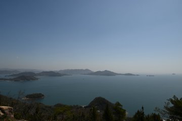 From the observation deck