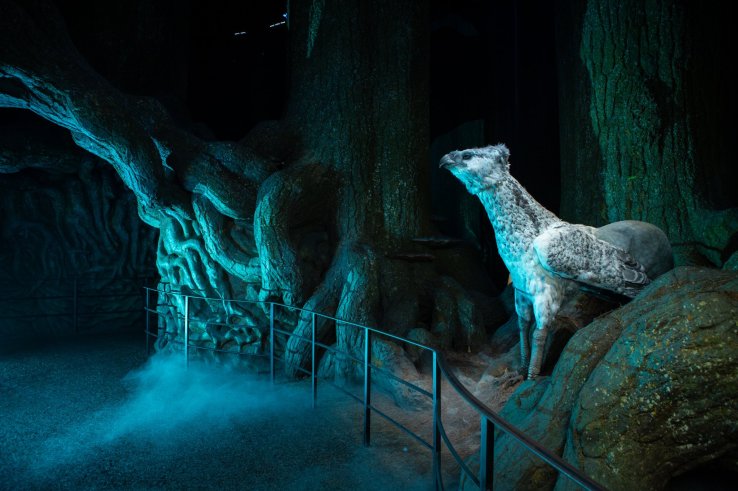 Buckbeak’s waiting in the Forbidden Forest