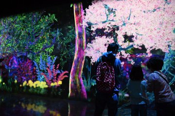 TeamLab★Forest Fukuoka