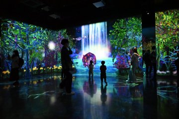 Waterfall in Area 1