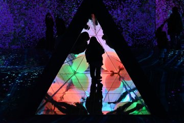 Tunnel to area 7