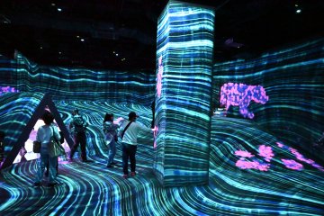 Area 6