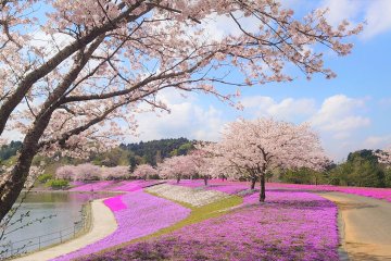Spring Flowers at Tokyo German Village